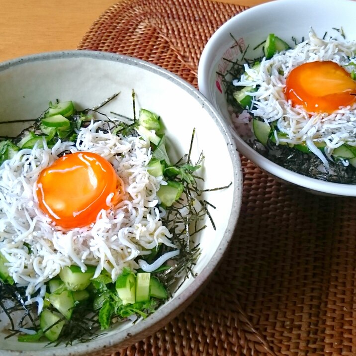 簡単ランチに！卵黄しょうゆ漬のしらす丼